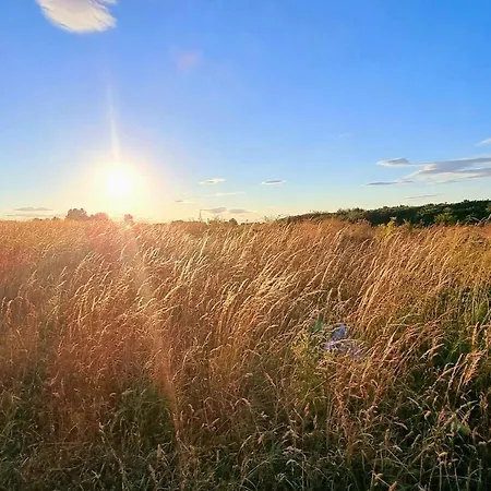 Meadow View * Filey