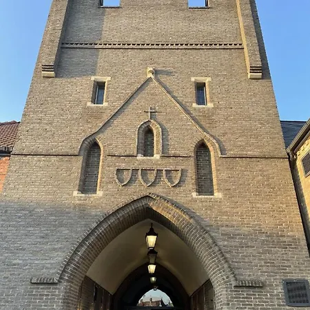 Meadow View * Файли