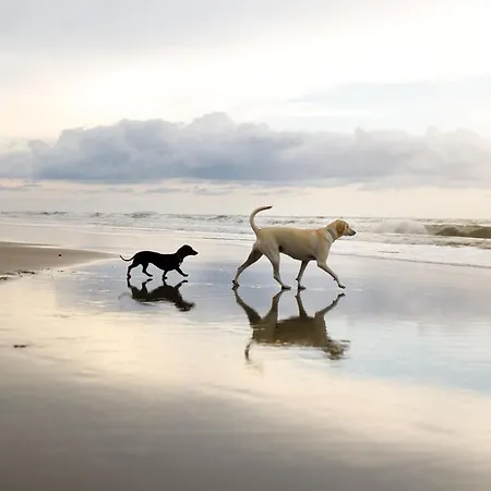 Дом отдыха Meadow View *